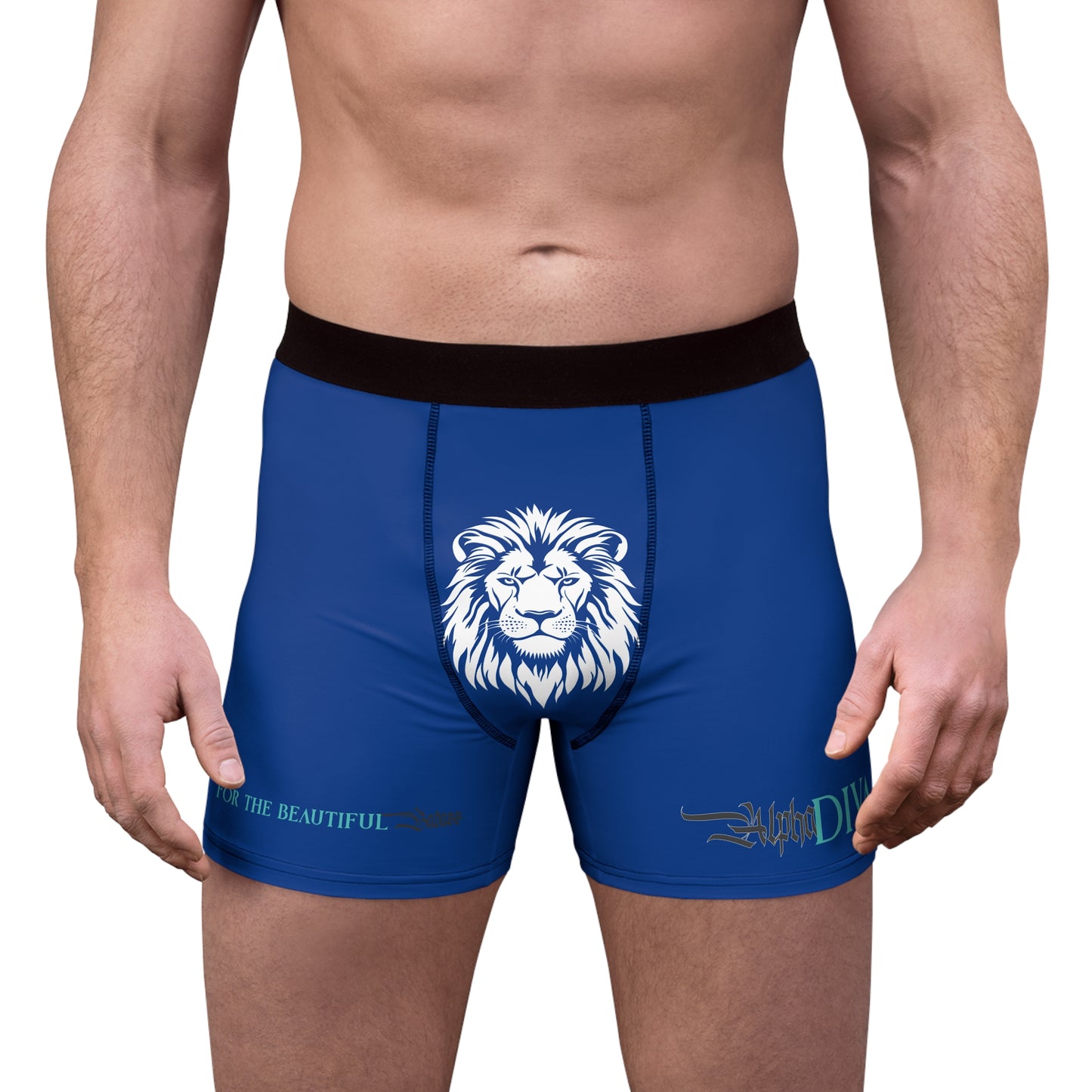AlphaDiva Men's Moody Blue Boxer Briefs