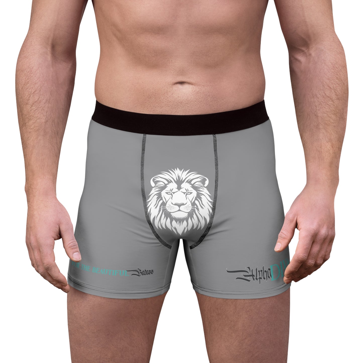 AlphaDiva Men's Christian Grey Boxer Briefs