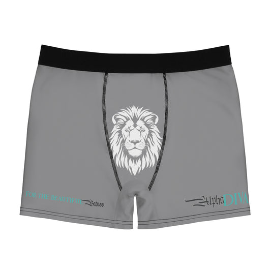 AlphaDiva Men's Christian Grey Boxer Briefs