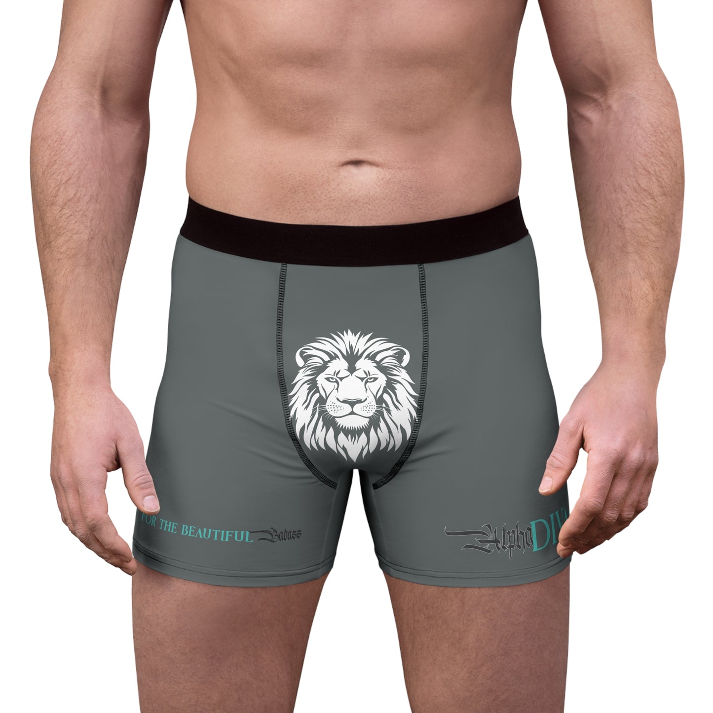 AlphaDiva Men's Drake Grey Boxer Briefs