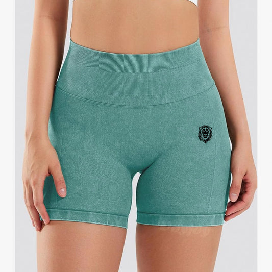 MistyMint STEALTH Contour Washed Shorts